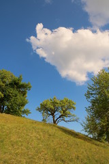 Obraz premium Altmühltal - Eichstätter Frauenberg