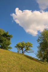 Obraz premium Kirche