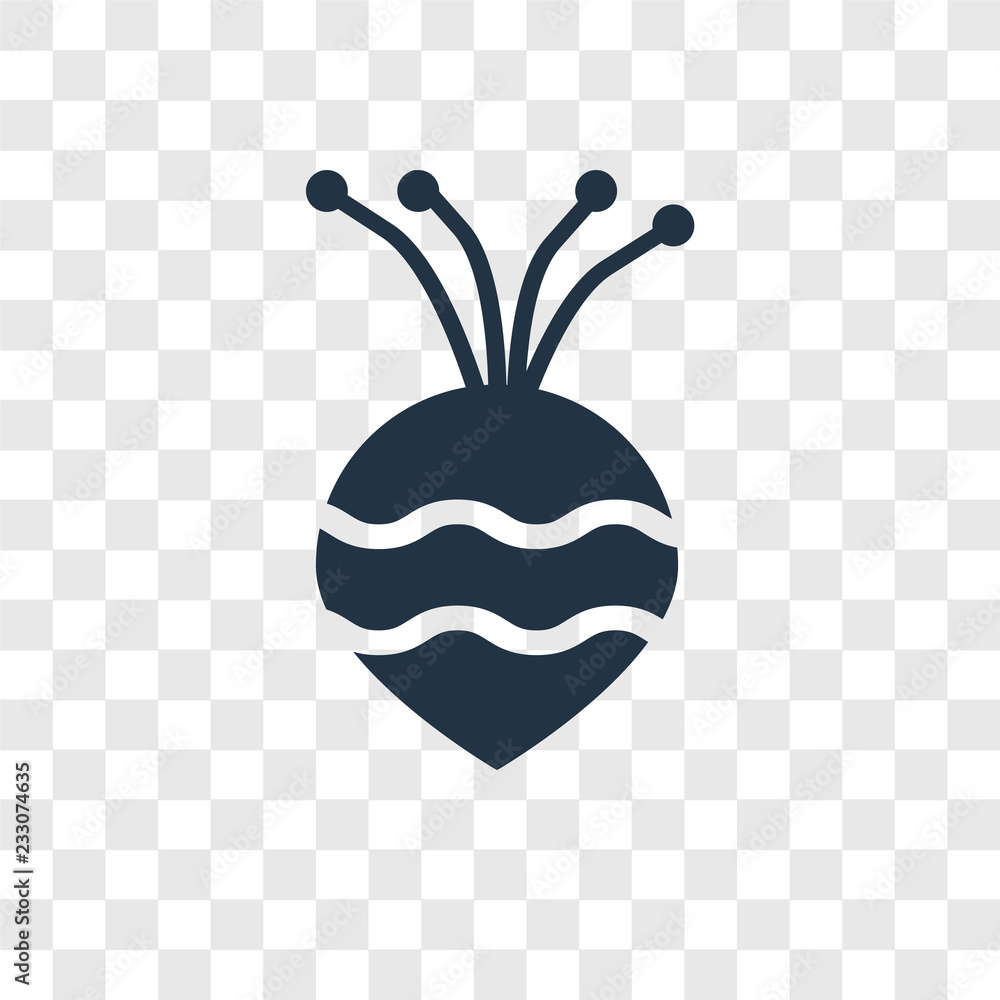 Poster Turnip vector icon isolated on transparent background, Turnip transparency logo design