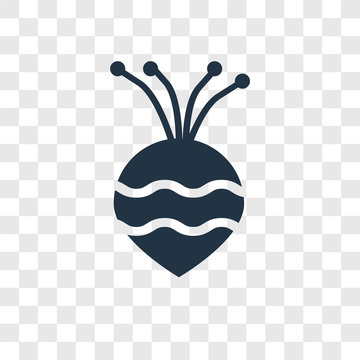 Turnip vector icon isolated on transparent background, Turnip transparency logo design