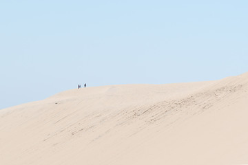 Fototapeta na wymiar desert.walk