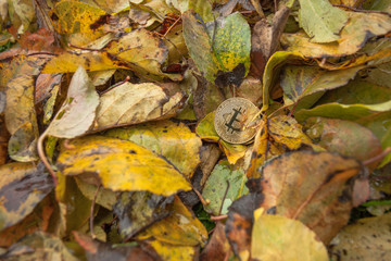 criptocurrency power consumption sustainnability