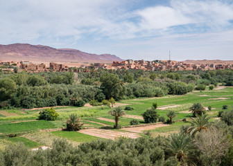 Tinghir and Fields, Morocco