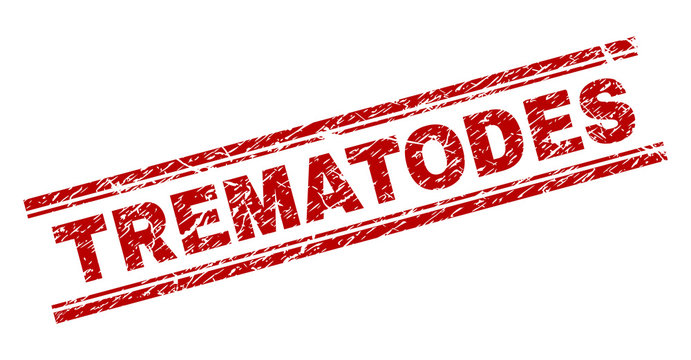 TREMATODES seal print with grunge texture. Red vector rubber print of TREMATODES text with unclean texture. Text title is placed between double parallel lines.