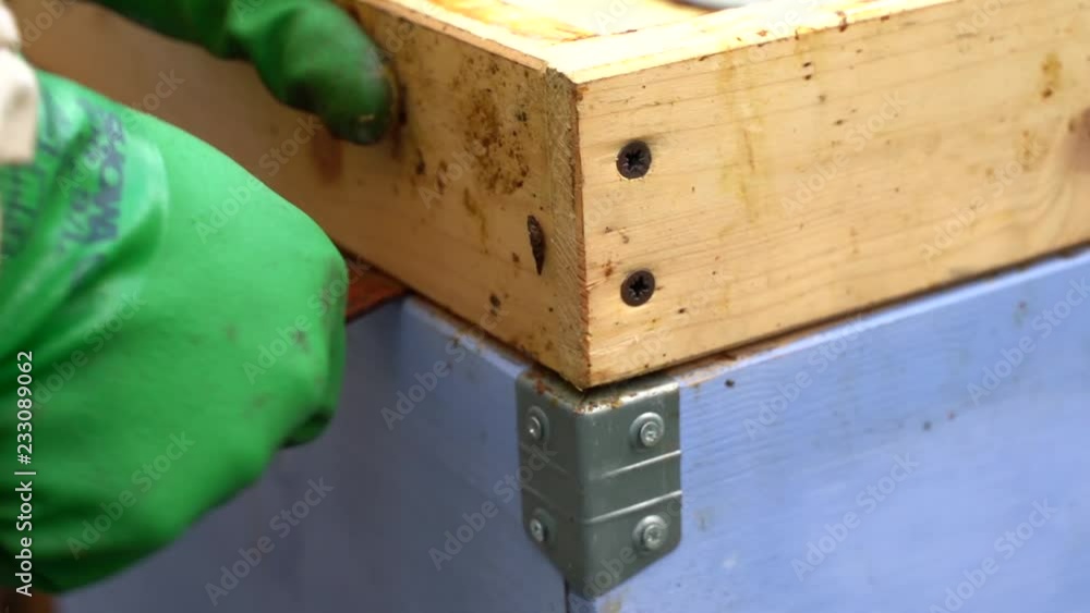 Poster beekeeper is working with bees and beehives on the apiary. beekeeper on apiary.