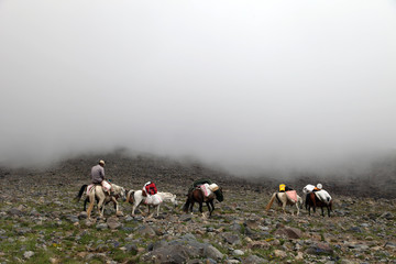 Porter and horses climbing to 4200 meters camp in Mount Agri (Ararat), Dogubeyazit, Turkey. Mount...
