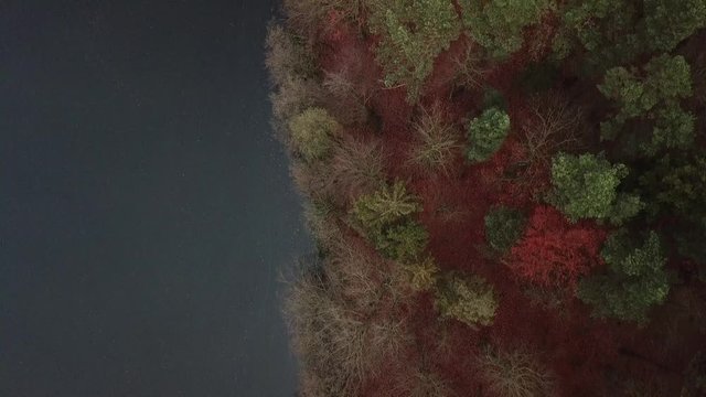 fog nature forest lake trees fields water