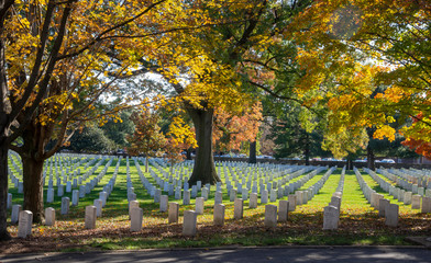 Plakat Autumn afternoon at Arlington National Cemetery