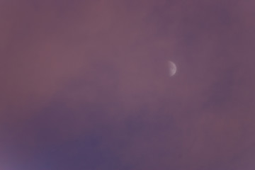 Half moon in a pink sky at dusk with copy space to the left