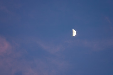 Half moon in a blue pink sky at dusk with copy space to the left