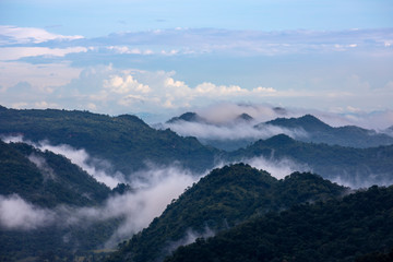 View of tropical forest, Khao Yai National Park, Thailand