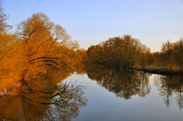 Obraz premium The lake with red trees without leaves in spring in Aue Park in