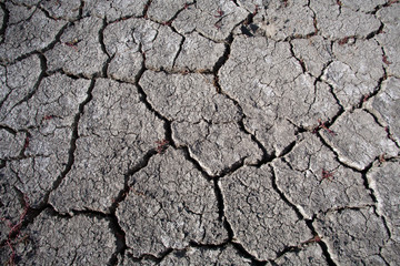 dry cracked earth