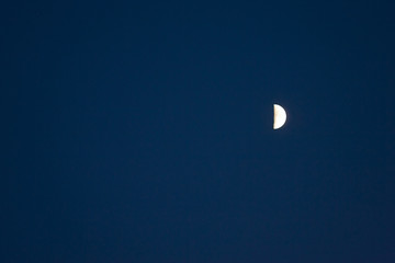 Half moon in a navy sky at dusk with copy space to the left