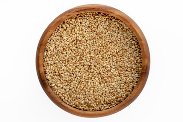 胡麻の写真素材