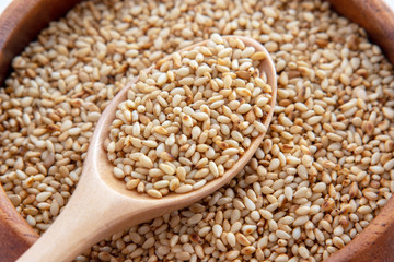 胡麻の写真素材