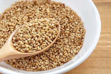 胡麻の写真素材