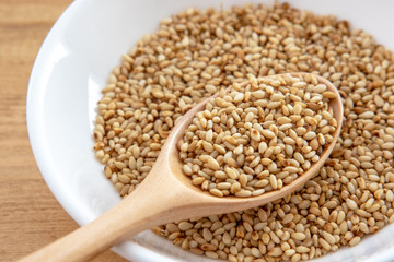 胡麻の写真素材