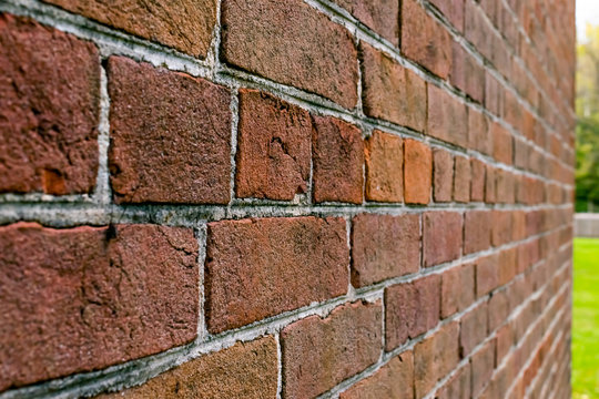 The Brick Wall with Shallow depth of field leading into a beautiful bokeh background.