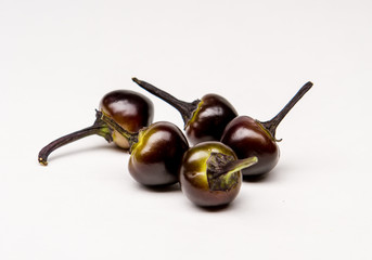 Black Pearl group - Hot Pepper