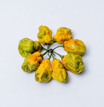 รูปภาพMoruga เลือกดูภาพถ่ายสต็อก เวกเตอร์ และวิดีโอ397 Adobe Stock