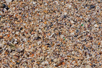 Sea sand texture made of shell and stone pieces.