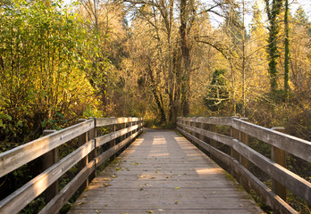 Wooden bridge in the fall forest during golden hour