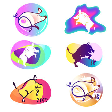 Set silhouette pig. Chinese earth boar of horoscope sign. Text c