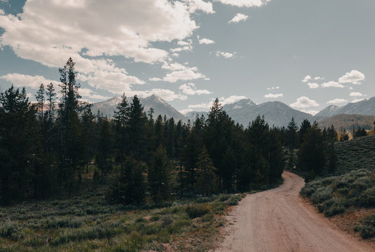 Yellowbelly Lake Road