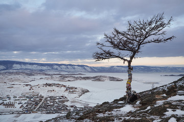 View of the hill with lonely tree