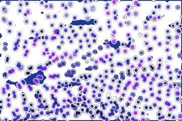seamless disease microorganisms bacteria, viruses, fungi and yeast or cell of organism from Electron microscope on white background.