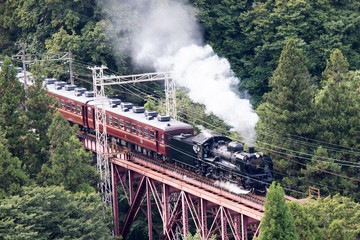 パレオエクスプレス