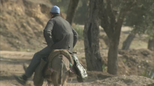 A rural scene of a up of a man riding a working donkey down a dusty path