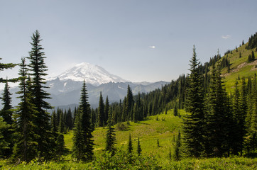 mountain trail with mount rainier view