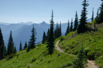trail in mountain