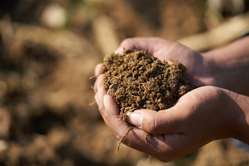 Close up of the hand of a farmer holding a handful of rich fertile soil