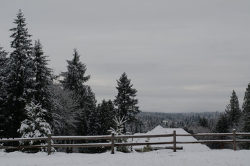 snow mountain view with a fence and trees