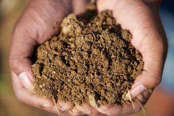 Close up of the hand of a farmer holding a handful of rich fertile soil
