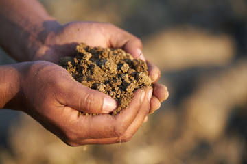 Close up of the hand of a farmer holding a handful of rich fertile soil