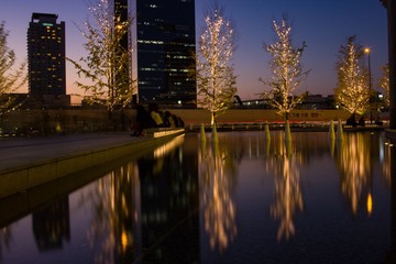 Reflection from illuminated trees at Umeda station, Osaka.