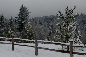 snow mountain view with a fence and trees