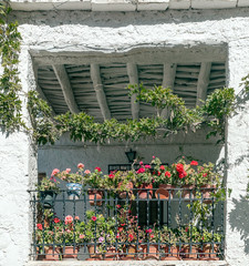 Fototapeta na wymiar Window with flowers on a white wall