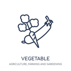 Vegetable icon. Vegetable linear symbol design from Agriculture, Farming and Gardening collection.