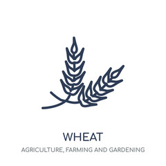 Wheat icon. Wheat linear symbol design from Agriculture, Farming and Gardening collection.