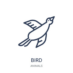 Bird icon. Bird linear symbol design from Animals collection.
