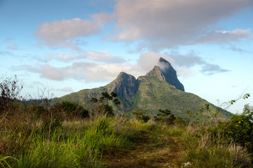 Fototapeta na wymiar Rempart Mountain early morning - Mauritius