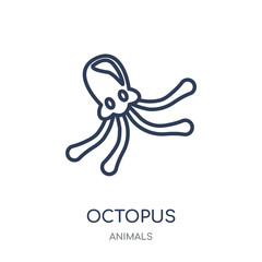 Octopus icon. Octopus linear symbol design from Animals collection.