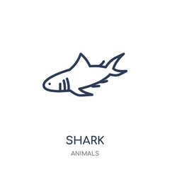 Shark icon. Shark linear symbol design from Animals collection.