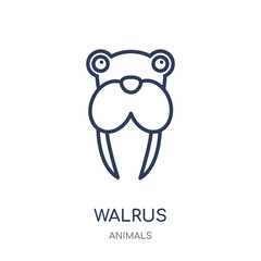 Walrus icon. Walrus linear symbol design from Animals collection.