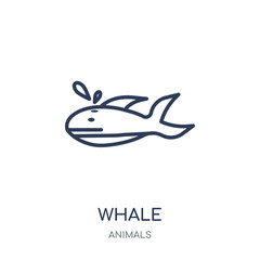 Whale icon. Whale linear symbol design from Animals collection.
